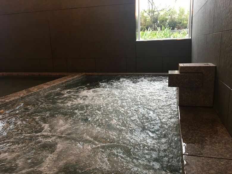Nippon Seinenkan Hotel