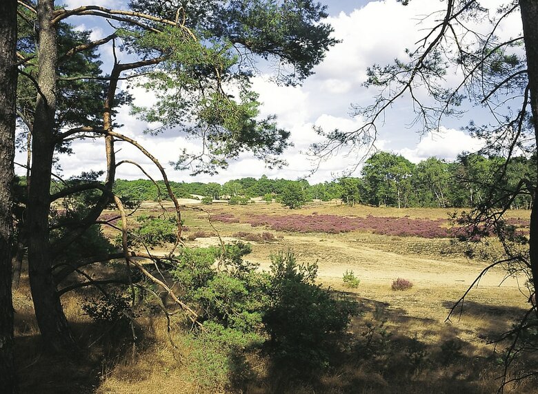 Vakantiepark De Lindenberg