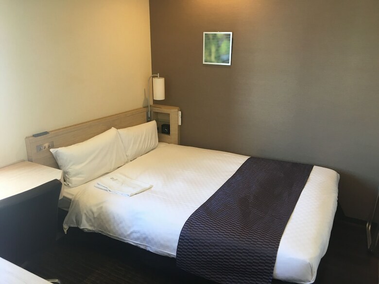 Hotel Via Inn Akihabara