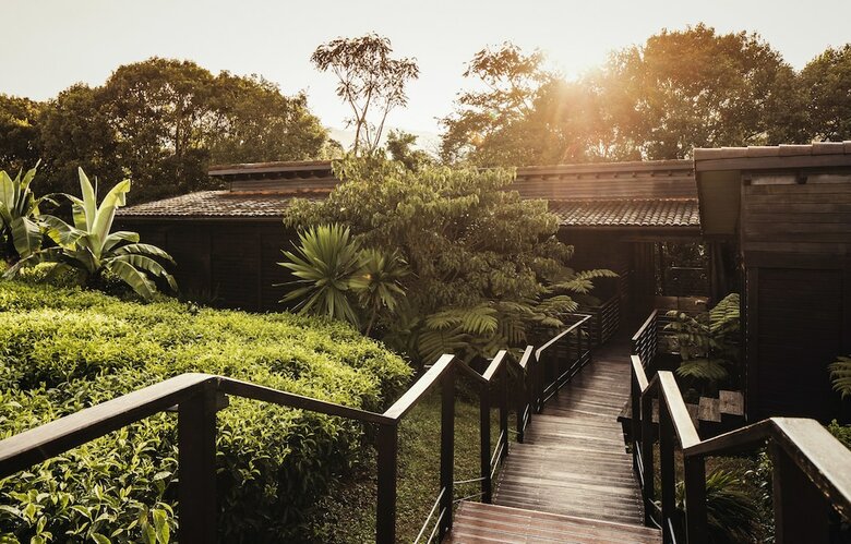 Hotel One&only Nyungwe House