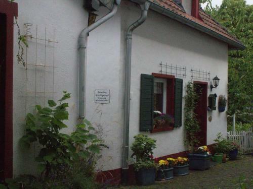 Holiday Home Eifel Reifferscheid