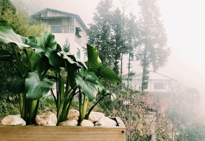 Hotel Catcat Garden House