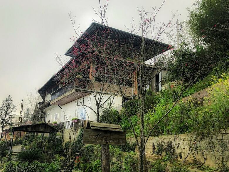 Hotel Catcat Garden House