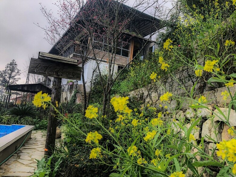 Hotel Catcat Garden House