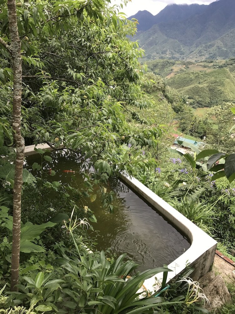 Hotel Catcat Garden House