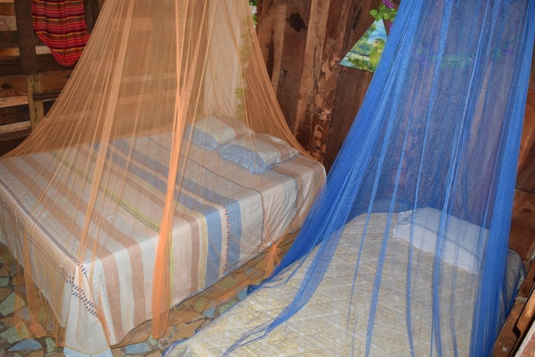 Camping Hostal El �rbol de La Vida
