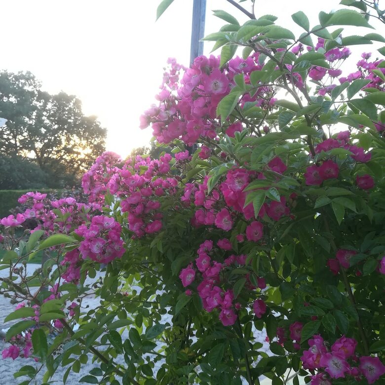 Villa Eden 2cbres 2 Sdb Piscine Priv�e