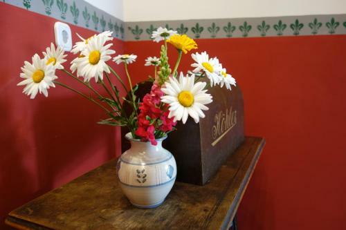 Apartamento Ferienhaus Ostrauer Hof