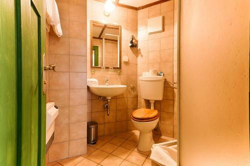 Hostal Pension Rauschenstein Und Apartments Forsthaus