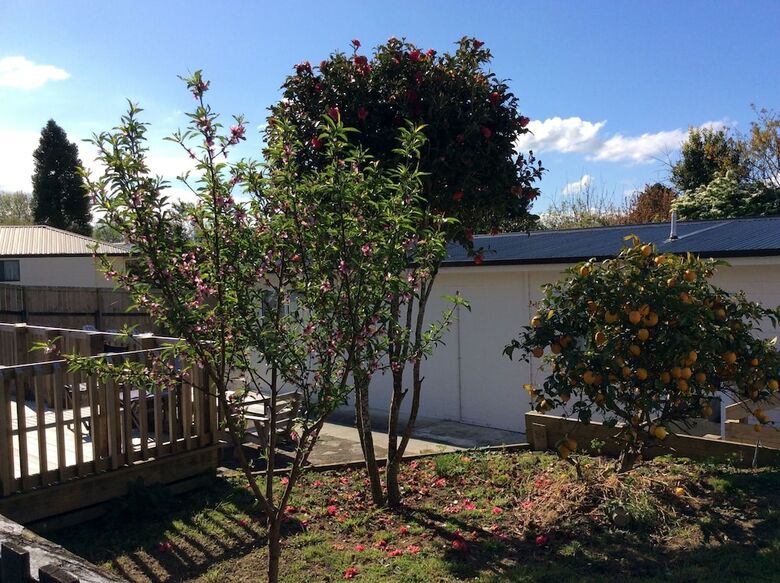Aparthotel Racecourse Motel Paeroa