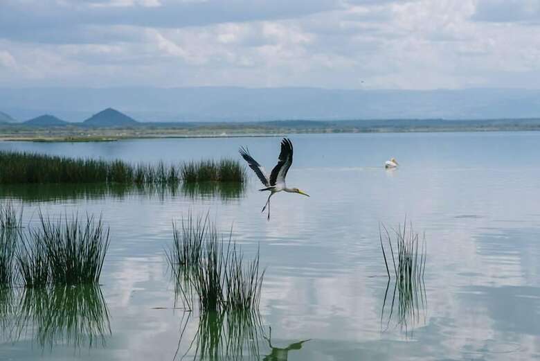 Posada Sirville Lake Elementaita Lodge