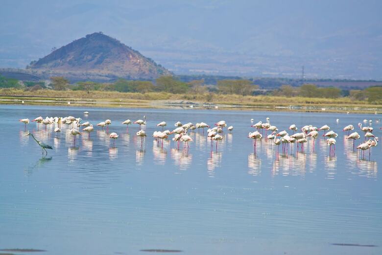 Posada Sirville Lake Elementaita Lodge