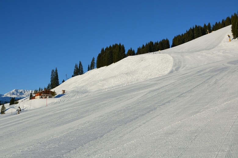 Alpine Premium Chalet Wallegg-lodge