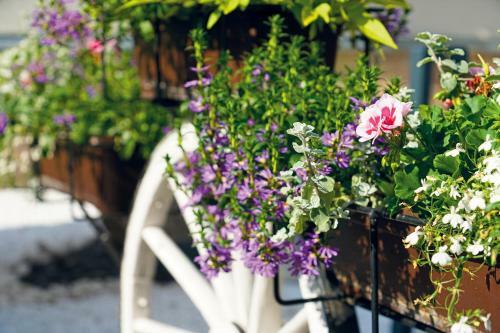 Hotel Und Restaurant B�hlhaus