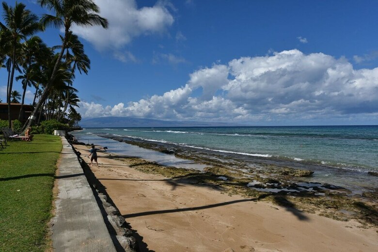 Paki Maui 415 By Redawning