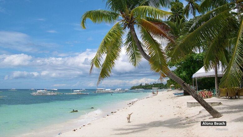 Hotel Zen Rooms Hidden Coral Panglao
