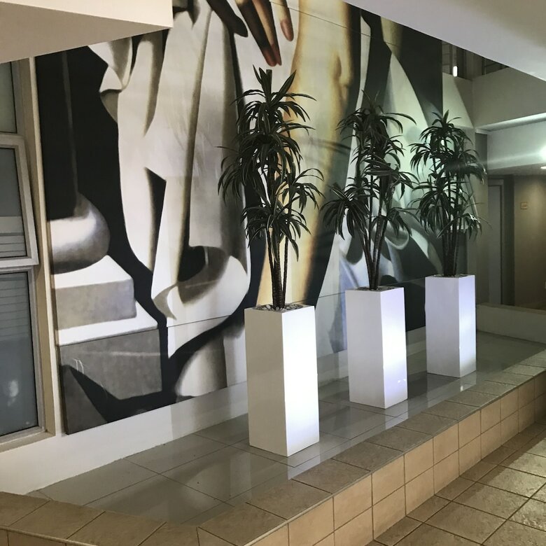 Apartamentos First Divine Suites - Hydro Park