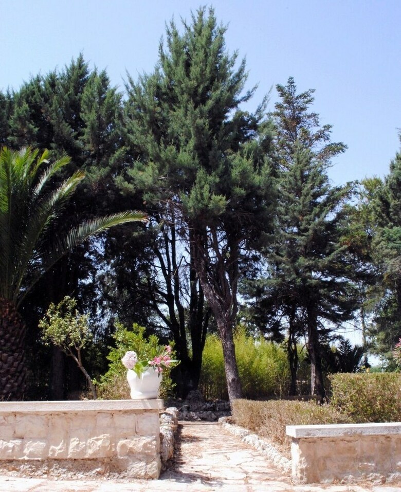Bed & Breakfast Dimora Romano