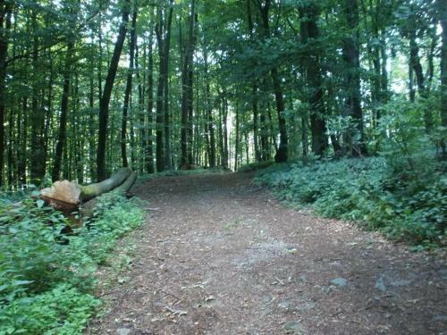Hostal Pension Haus Irmgard