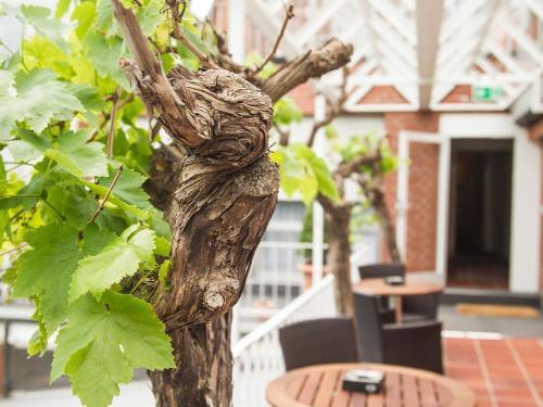 Hotel Wefers Bistro Restaurant
