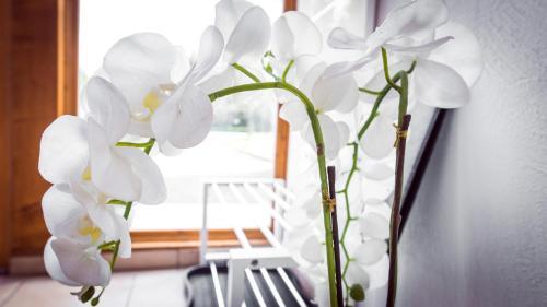 Apartamento Appartements Zum Brockenbaecker