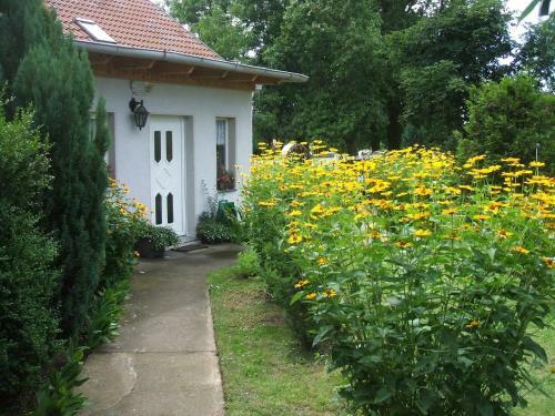 Spacious Holiday Home In Sommerfeld Near Lake