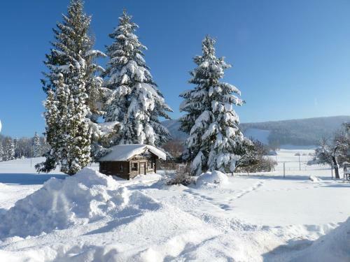 Hostal Landgasthof & Pension Sontheim