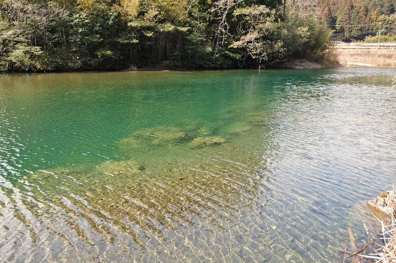 Hotel Nature Resort In Shimanto