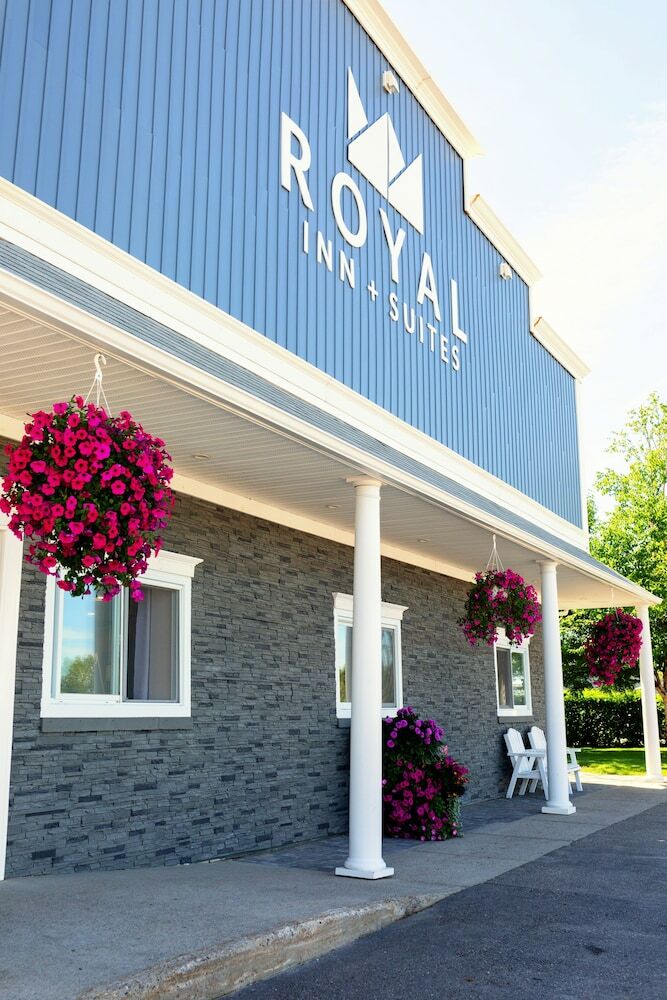 Hotel Royal Inn & Suites