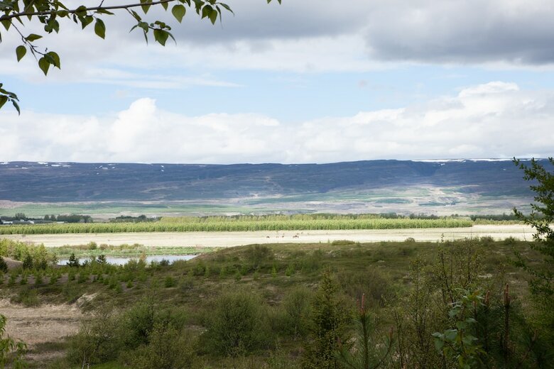 Kald� Lyngholt Holiday Homes