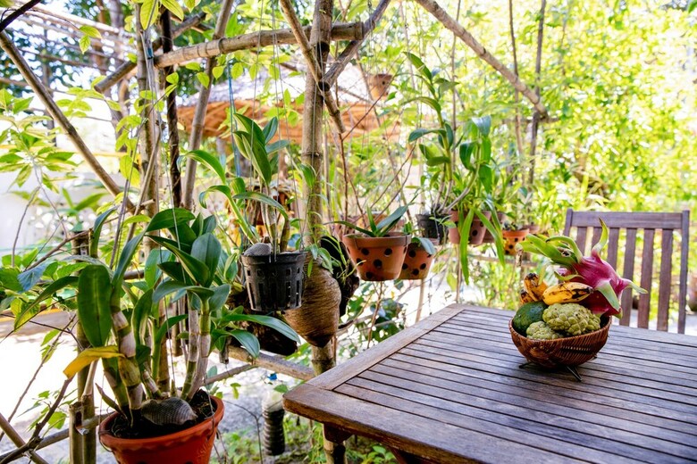 Bed & Breakfast An Bang Morning Glory Beach Homestay