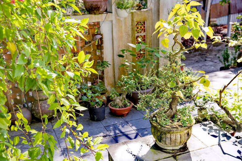 Bed & Breakfast An Bang Morning Glory Beach Homestay
