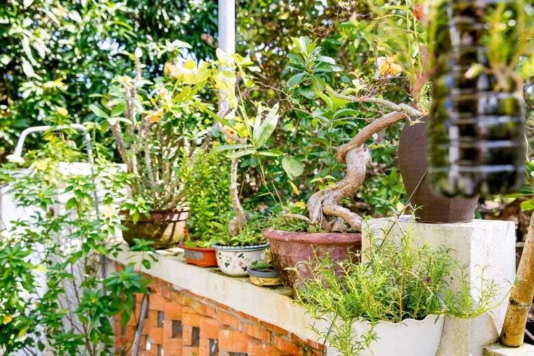 Bed & Breakfast An Bang Morning Glory Beach Homestay
