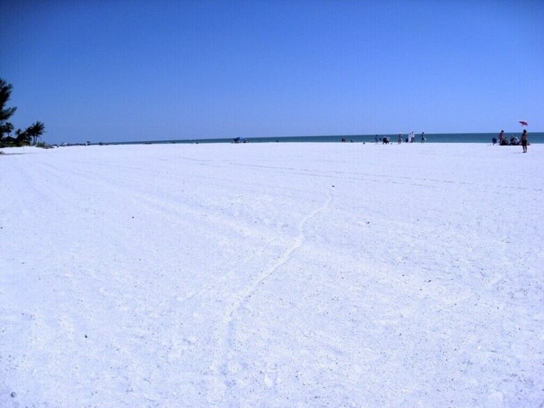 Beach Palms 6b By Anna Maria