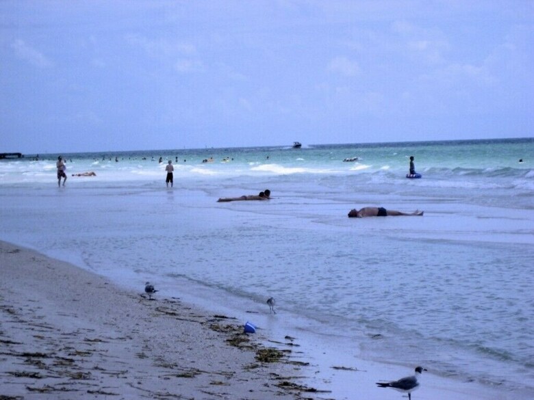 Beach Sands A 201 By Anna Maria