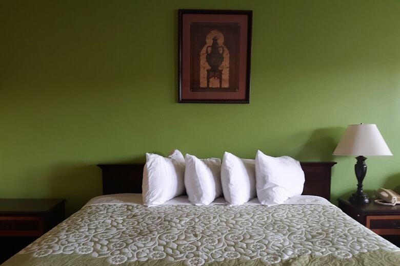 Motel Oyo Hotel Williamston