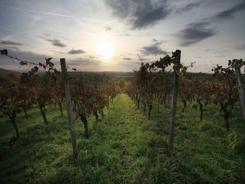 Worners Schloss Weingut & Wellness-hotel