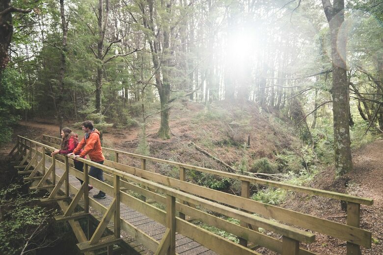 Hostal Fiordland National Park Lodge