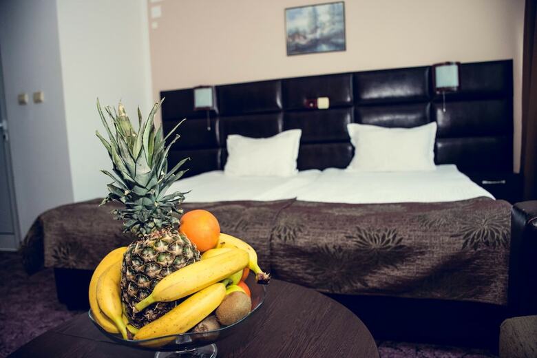 Zdravets Hotel Wellness & Spa