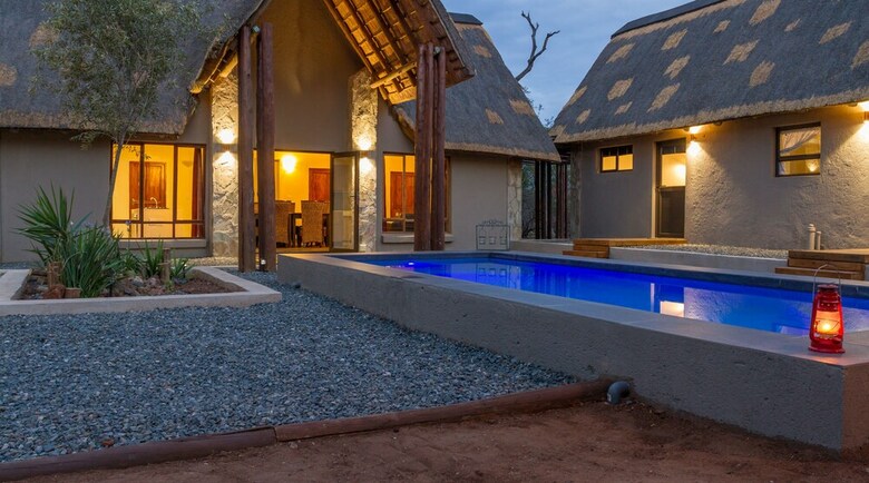 The Safarilicious Collection