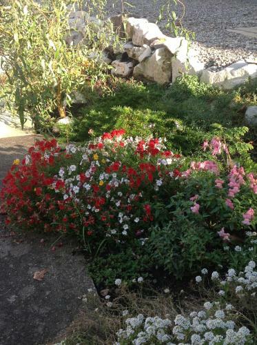 Apartamentos Bed & Breakfast Burgau
