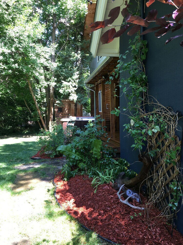 Little Trail Creek Cabins