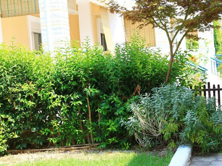 Apartamentos Siviri Rental Houses
