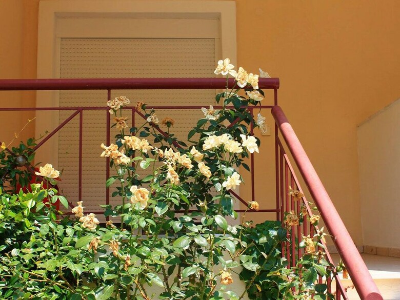 Apartamentos Siviri Rental Houses