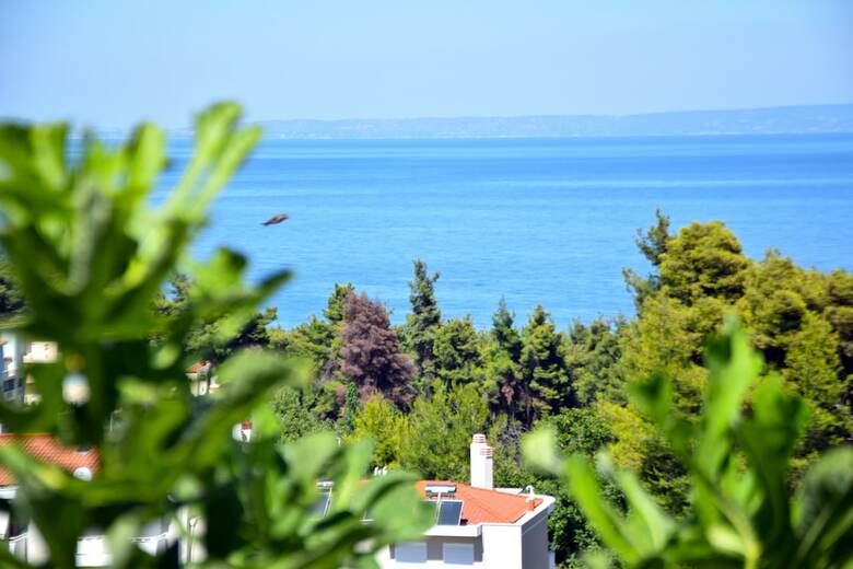 Apartamentos Seaview Studios