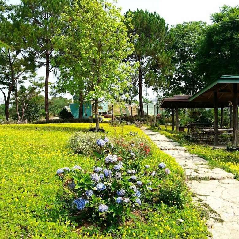 Hotel Red Z Cool Mountain Resort