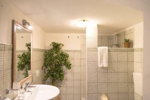Apartamento Casa Siciliana Da 16 A 18