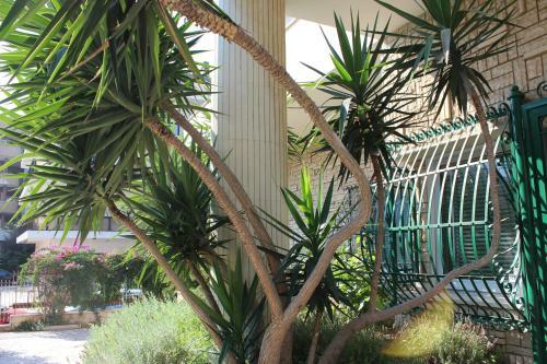 Bed & Breakfast Villa Wanda - Residenza Di Charme