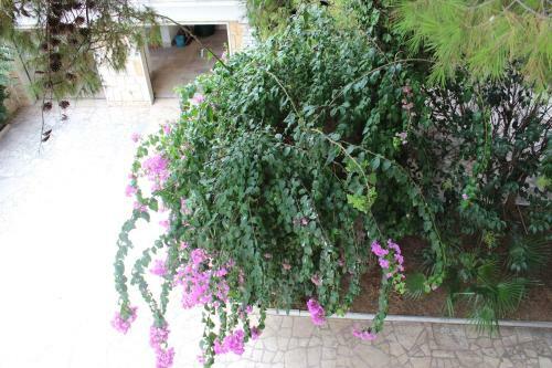 Bed & Breakfast Villa Wanda - Residenza Di Charme