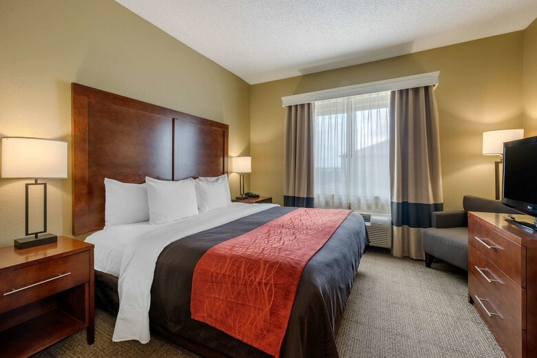 Hotel Comfort Inn Dfw North-irving